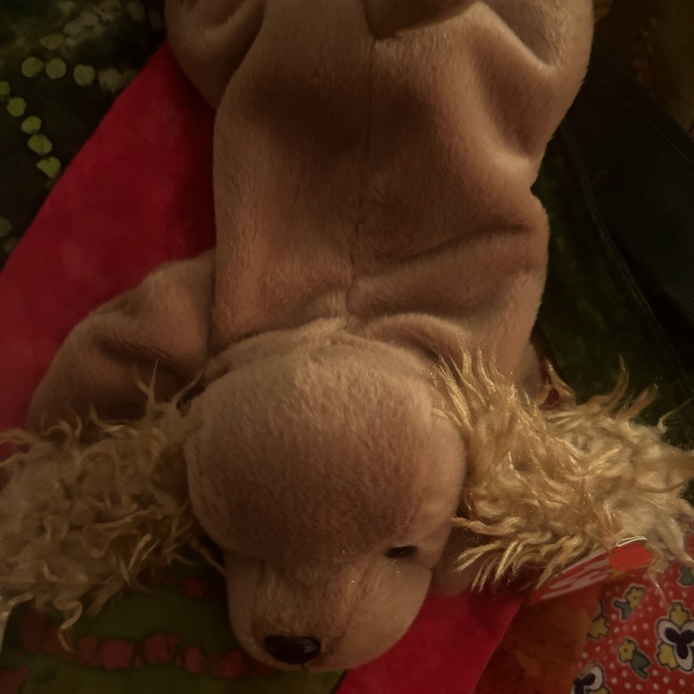 Beanie Baby Spunky
